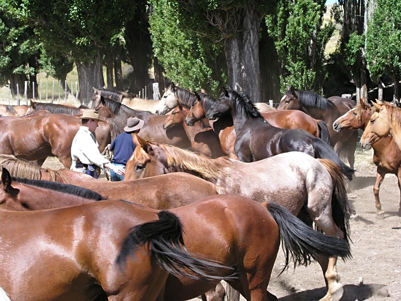 NQN - Rinconada Lodge (ex Huechahue)
