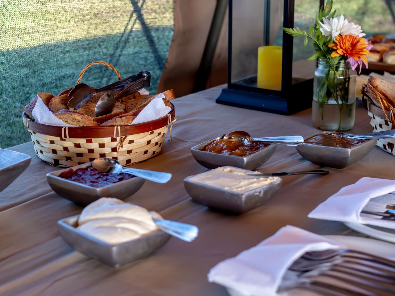 GLAMPING EN PUESTO VIEJO